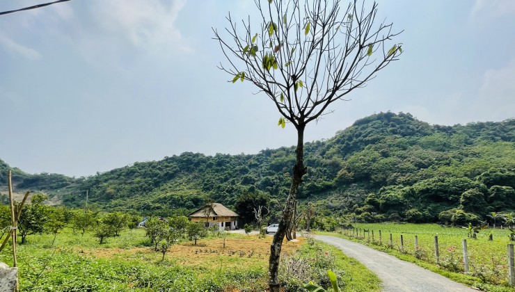 Bán 2300m2 đất nghỉ dưỡng tại Thu Phong Cao Phong Hòa Bình giá hơn 3 tỷ mặt tiền 50m