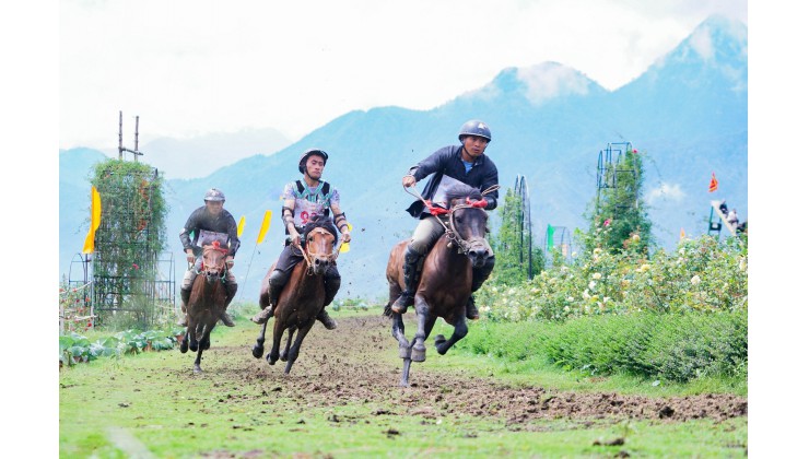 Bán mảnh đất View thung lũng biển mây tại Tả Phìn – Sapa – Lào Cai.