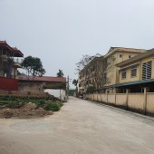 Chính chủ bán gấp 90m2 đất thổ cư xã Hiệp Thuận, Phúc Thọ, Hà Nội