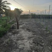 Bán nhanh 2,4 sào đất tại Thị Trấn Phước Dân, Ninh Phước