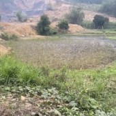 Cần bán nhanh mảnh đất siêu đẹp gần thị trấn Chi Nê Lạc Thuỷ, cách đường HCM chỉ 100m