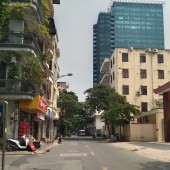 Bán nhà chính chủ số 45 ngõ phố Hoàng Sâm dt 30m2 x 5 tầng. giá 3,x tỷ