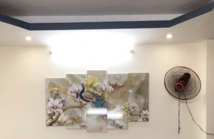 BÁN NHÀ NAM DƯ 30 M2 x 4T, MT 4.8 M SIÊU HIẾM