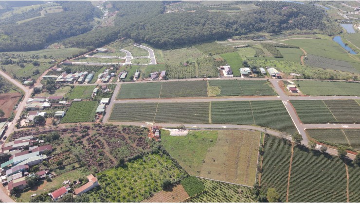 Hàng đầu tư - đất Bảo Lâm - Lâm Đồng có thổ cư chỉ từ 3tr8/m2