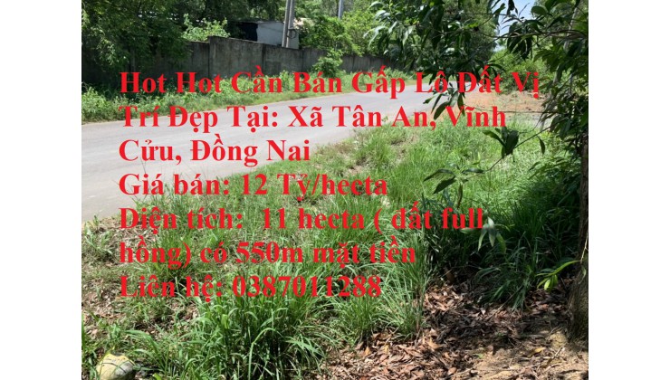 Hot Hot Cần Bán Gấp Lô Đất Vị Trí Đẹp Tại: Xã Tân An, Vĩnh Cửu, Đồng Nai