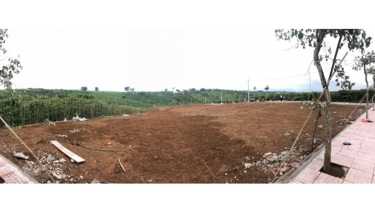 Đất nền thổ cư , vị trí đắc địa tại Lộc Châu, Bảo Lộc, Lâm Đồng