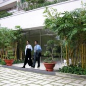 Cho thuê căn hộ cao cấp Green Hills Quận 12 - Lô 25 Khu công viên Phần mềm Quang Trung