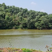 Siêu phẩm mặt Hồ 10ha đất nông trường cách quốc lộ 21 khoảng 100m tại Đô Thị Vệ Tinh Hòa Lạc