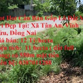 Hot Hot Cần Bán Gấp Lô Đất Vị Trí Đẹp Tại: Xã Tân An, Vĩnh Cửu, Đồng Nai