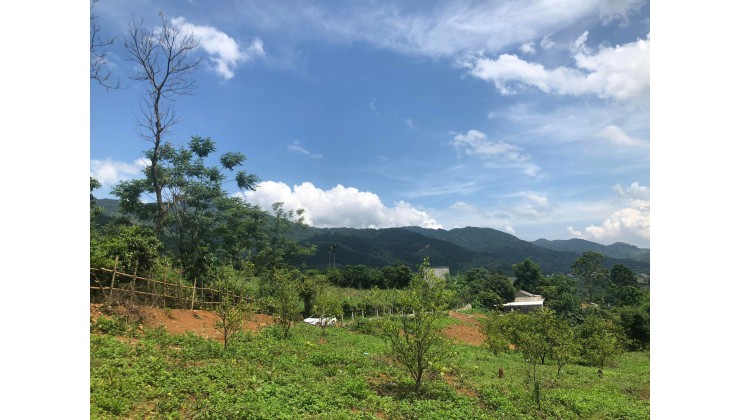 CHÍNH CHỦ GỬI BÁN LÔ ĐẤT CAO PHONG - HÒA BÌNH