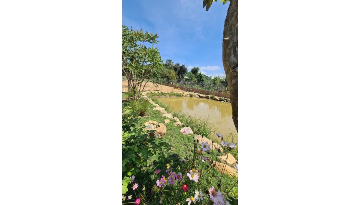 bán mảnh đất vườn có thổ tuyệt đẹp Ven thành phố Nha Trang - Diên Đồng sdt 0985451850