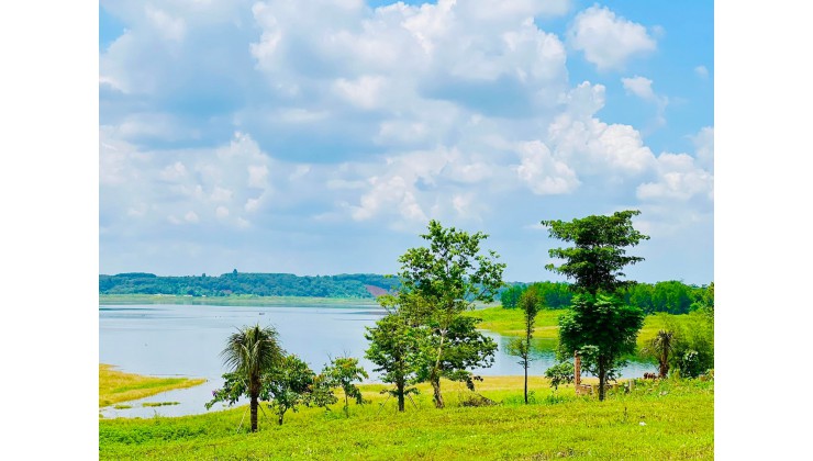 Còn 1 sào mặt hồ cực đẹp tại Đồng Nai Thích hợp nhà nghĩ dưỡng kèm theo hồ bơi