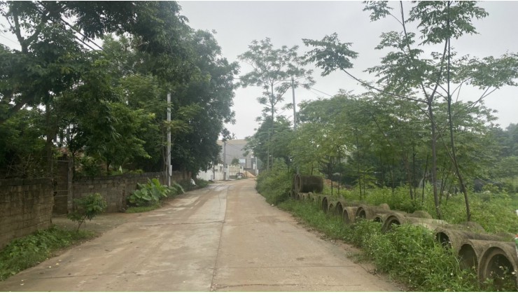 Chính chủ cần bán lô đất mặt đường 2 xe container tránh nhau tại Tam Dương, Vĩnh Phúc