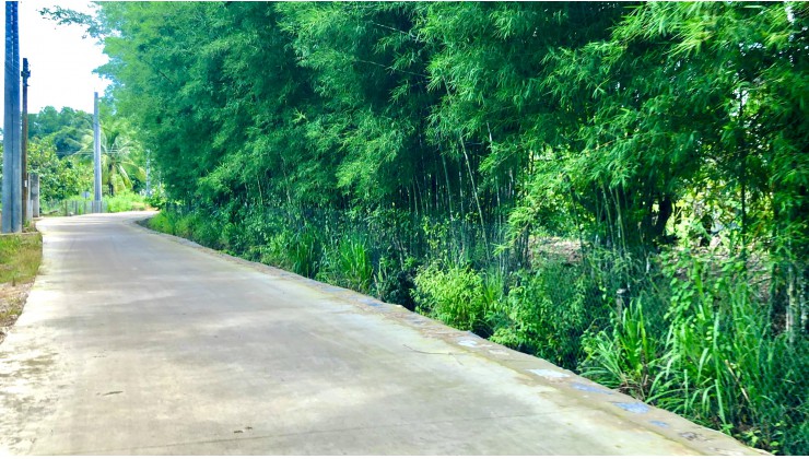 Vườn dừa có view đồi, ao cá tại THị trấn Định Quán - Đồng Nai
