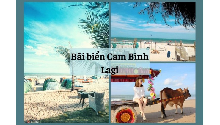 Cần Bán Lô  965m2 Full Hồng , Nguyễn Du , Tân Phước ,TX.LaGi,Hàm Tân , Bình Thuận .Giá Nhỉnh 9 tỷ.