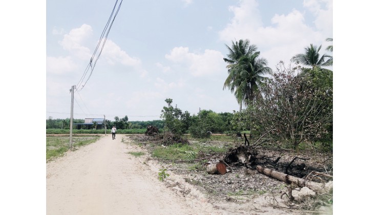 Em tên Tấn, em có 3 nền F0 mới bung, đầu tư xinh lời tốt tại Tân Phong, Tân Biên, Tây Ninh