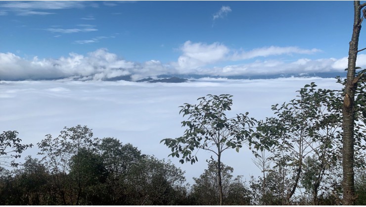 Mảnh đất mặt tiền siêu rộng, nới ngắm nhìn biển mây tại  Thôn Phan Cán Sử, xã Y Tý, Bắt Xát, Lào Cai.