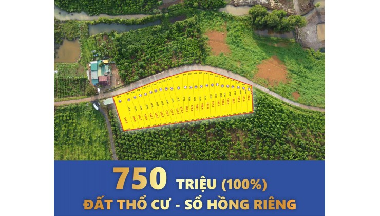 Đất thổ cư Lâm Đồng SHR công chứng ngay, giá 750tr/nền