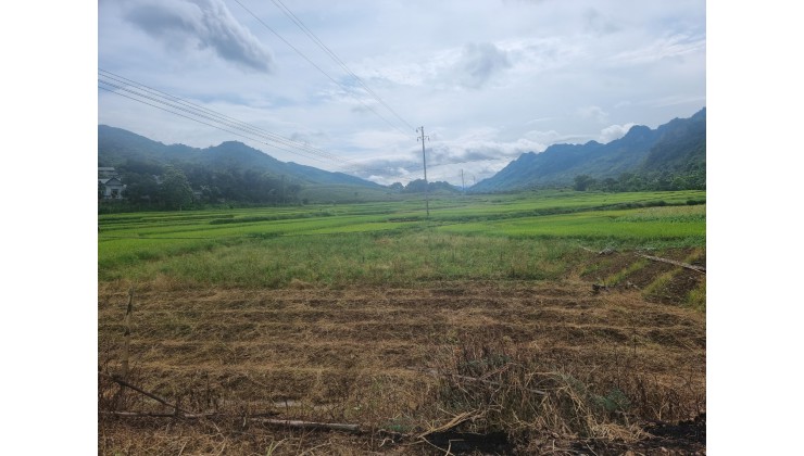 Bán đất thổ cư gần khu du lịch Thác Cửu Tú Sơn, Kim Bôi, Hòa Bình.