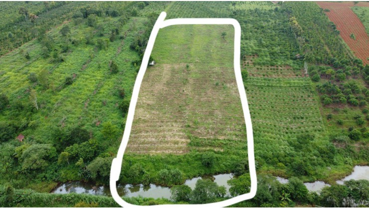 Cần bán 1ha đất tại Đắk Nông, 2 mặt đường thể hiện trên sổ. Giá 1 tỷ