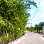 Vườn dừa, xoài sát bên Thị trấn Định Quán - Đồng Nai thuộc xã Gia Canh