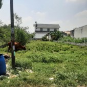 Bán đất ở thổ cư tại Xã Tân Thông Hội, Huyện Củ Chi, TP. Hồ Chí Minh.