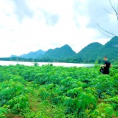 Bán đất nghỉ dưỡng hơn 3000m giá nhỉnh 4 tỷ bám hồ Cành Lạc Sơn, Hòa Bình