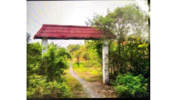 Bán đất thổ vườn SHR - Thuận tiện xây Biệt thự vườn