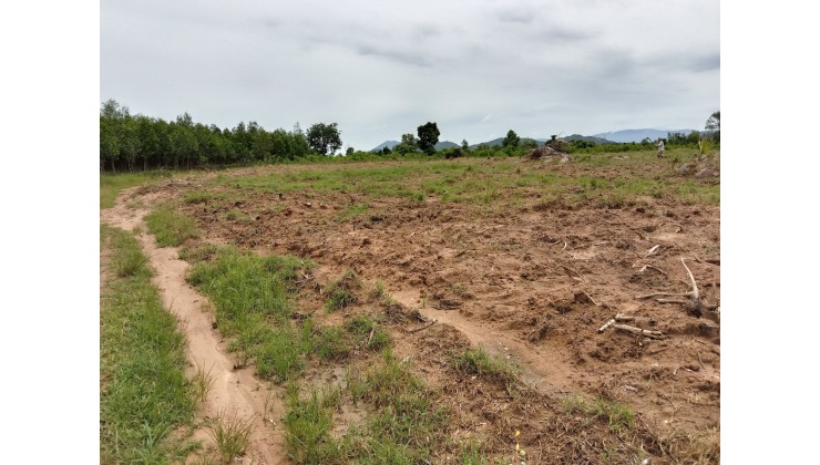 Cần bán 8 hecta đất view sông tại xã Tân Phúc, Hàm Tân, Bình Thuận, giá tốt