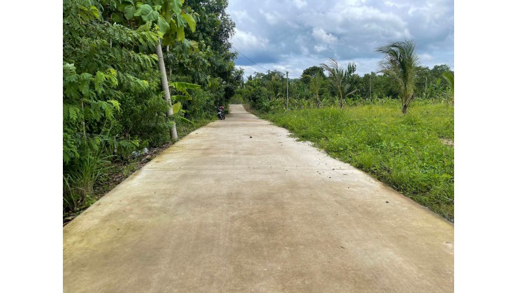 Cần bán gấp 1 lô Vườn Dừa tại  Định Quán - Đồng Nai
