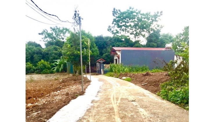 Chính chủ cần bán đất 139m2 tại khu phân lô phường Vân Phú, Tp Việt Trì, Phú Thọ