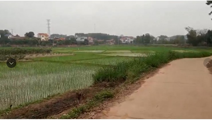 Chính chủ cần tiền bán lô đất tại Thôn Dĩnh Bạn – Xã Thanh Lâm – Huyện Lục Nam – Tỉnh Bắc Giang