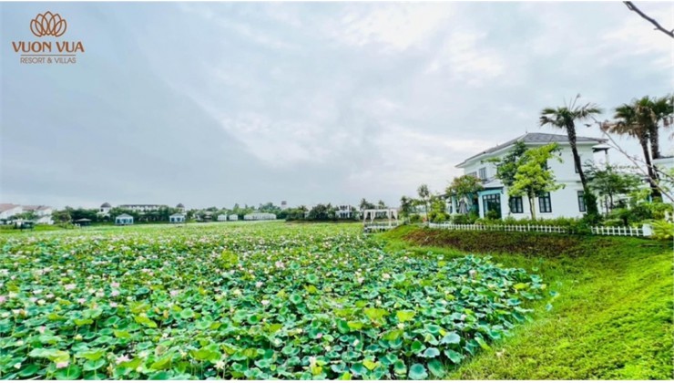 Chỉ với 25tr/m2 sở hữu ngay biệt thự full nội thất view hồ sen tại Thanh Thủy, Phú Thọ