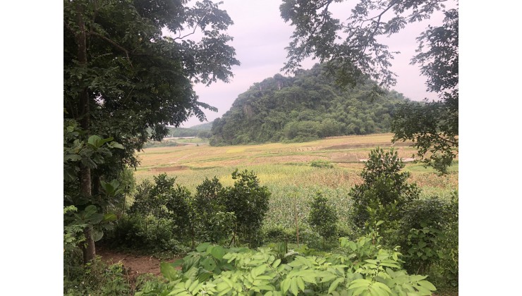 Chính chủ cần bán lô đất tại Thôn Châu Dể - Xã Hợp Châu - Huyện Lương Sơn - Tỉnh Hoà Bình
