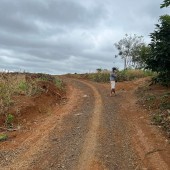 Bán lô đất trồng cây lâu năm tỉnh Đắk Nông, chỉ 150 triệu 1 sào