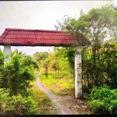 Bán đất thổ vườn SHR - Thuận tiện xây Biệt thự vườn