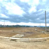 Cần bán Đất đường Nguyễn Hoàng, Xã Sông Trầu, Diện tích 100m²