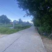 Chủ Ngợp Bán Đất 2MT Đường Betong  (67m x 42m 200m2 tc)(85tr/m ngang), Tân Hà Hàm Tân.