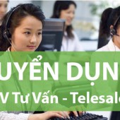 Trung Tâm Tín Dụng Tiền Mặt Fecredit Tuyển dụng Chuyên Viên Tư Vấn - Telesale Lương 6,1-7,1 Triệu.