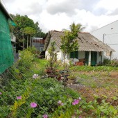 Cần bán nhanh lô đất ở Nã Ba Chú Lường, Bình Chánh TPHCM
