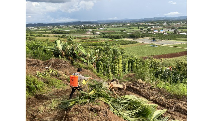 (NL)..Bán gấp 25  lô đất rộng view đẹp xã Tà Hine - Phú Hội - Hiệp An - Tân Hội - Ninh Gia - Đức Trọng - Lâm Đồng.