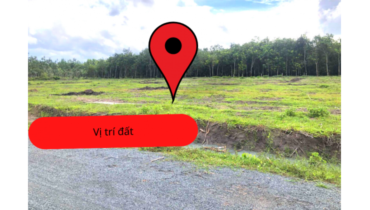 bán đất sào xã Tân  Hà Tân Châu Tây Ninh diện tích 1000m2