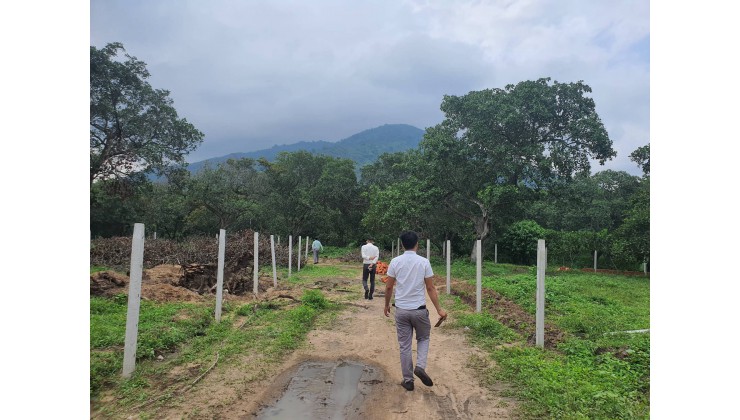 Đất vườn định cư ngay gần khu du lịch tiềm năng phát triển dân cư đông đúc tiện ích bao vây