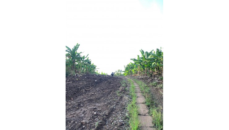 Đất vườn giá rẻ cách ql 20 xã Bàu Hàm Đồng Nai 1.5km đường nhà nước 3m đã được đổ bê tông thông thoáng
