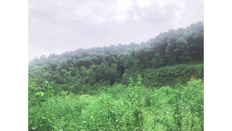 bán nhanh đất ở Xã Hợp Thanh - Huyện Lương Sơn - Hòa Bình diện tích 6558m2 view hồ giá chỉ 1 tr/m