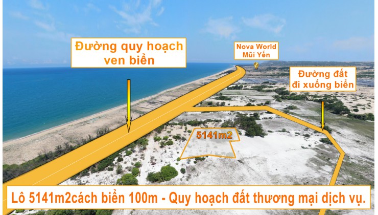 Đất LONG MẠCH dành cho TRI KỈ , Hội tụ GIÓ ĐÔNG