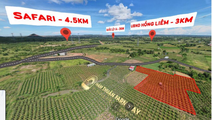 Chính chủ kí gửi lô đất diện tích 4400m2 khu vực Hồng Liêm, Hàm Thuận Bắc, Bình Thuận, có đường hiển thị trên sổ.