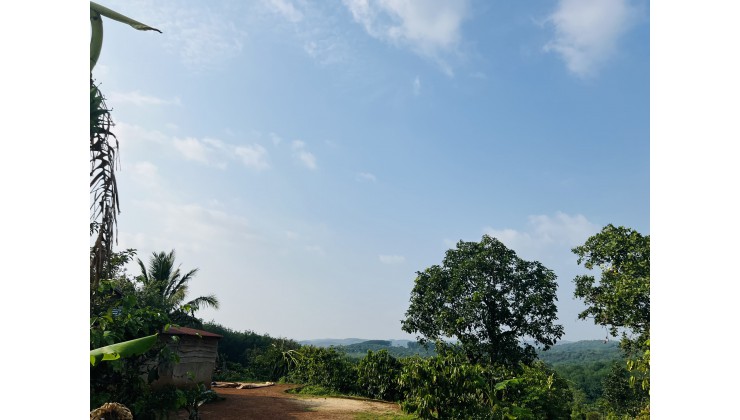Tặng 200m2 thổ cư, đất xã Đắk Sin, gần QL14, view cao thoáng
