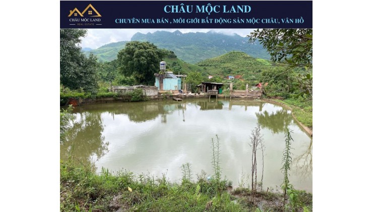 Siêu phẩm có 1 - 0 - 2 Tại Chiềng Sơn Mộc Châu.  5Ha view cực đẹp,