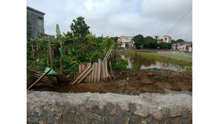 Chính chủ em cần bán gấp mảnh đất tại địa chỉ Đồng Bến Thôn Hải Hà, Xã Quỳnh Mỹ, Huyện Quỳnh Phụ, Thái Bình.